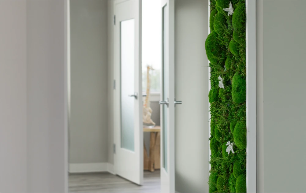 clean mossy artwork in physical therapy office